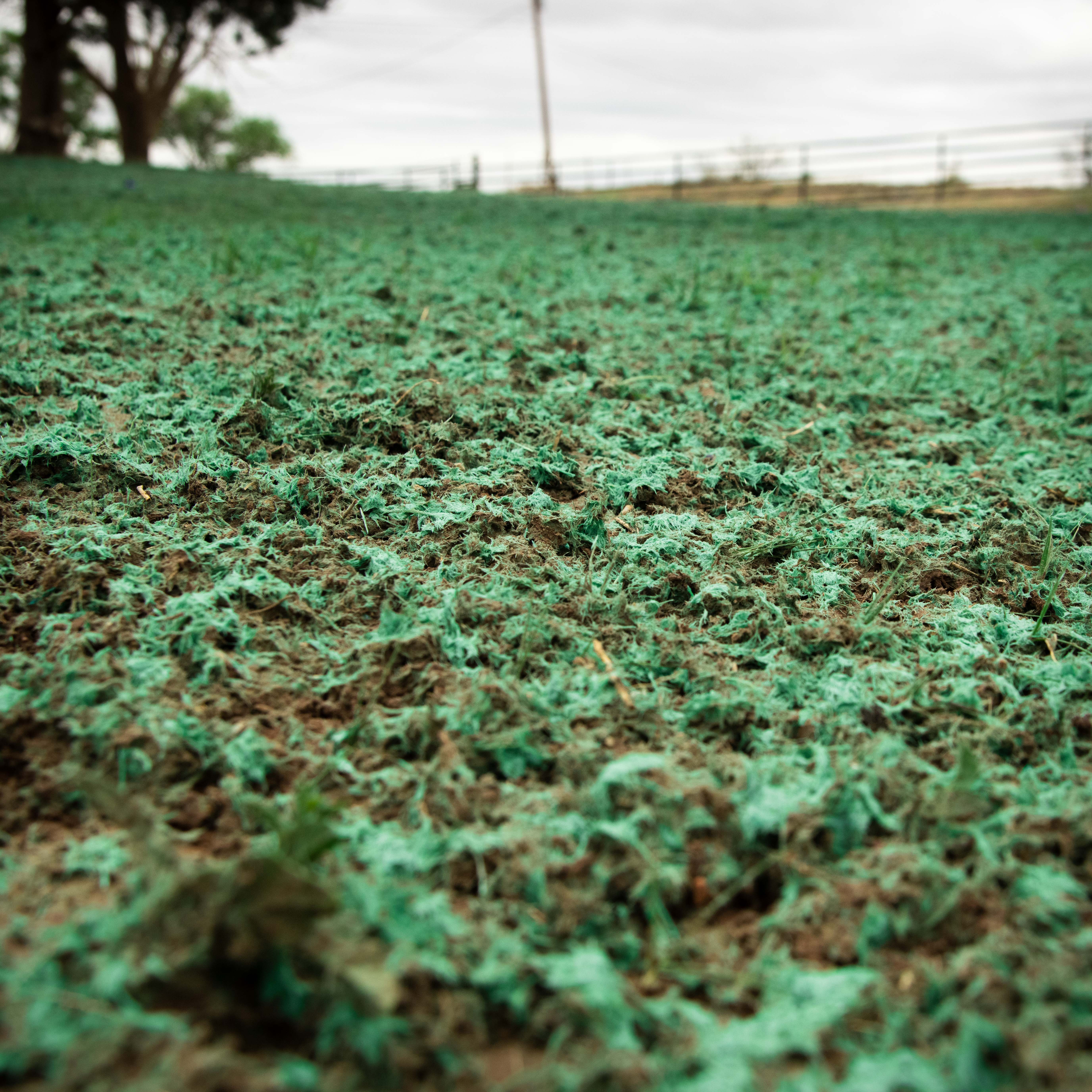 Hydro Mulching in Lubbock TX