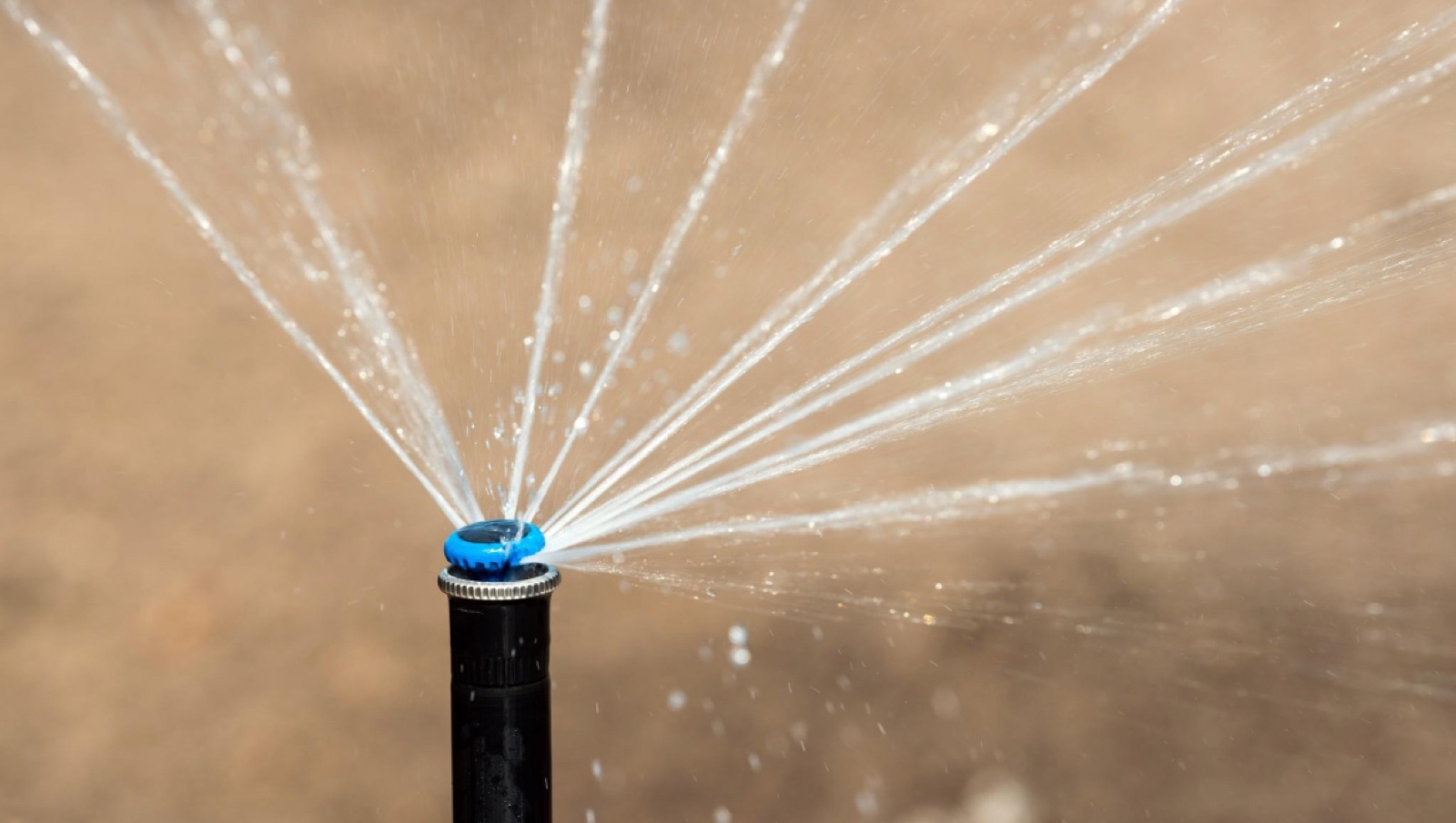 Irrigation work
