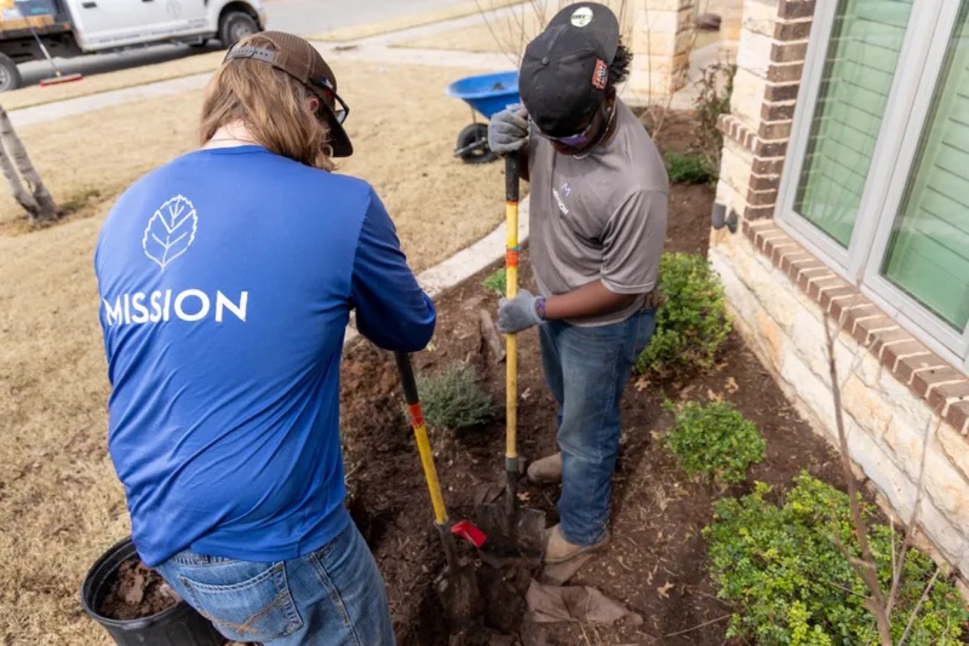 What to Plant in Lubbock: The Mission Landscape Guide to West Texas Yards