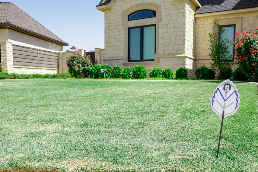 Turf Solutions work